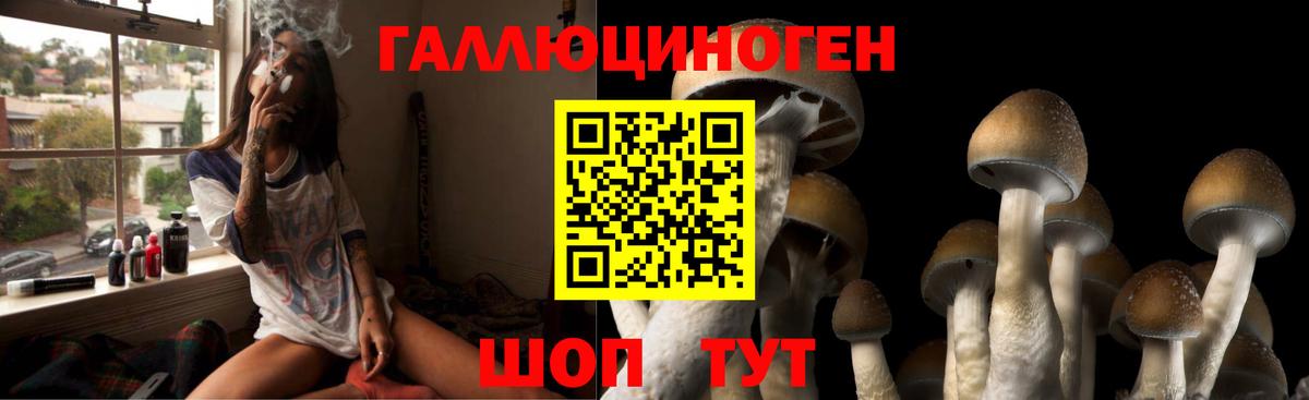 Псилоцибиновые грибы мицелий  Вход с VPN  Галлюциногенные грибы прущие грибы  Джанкой 